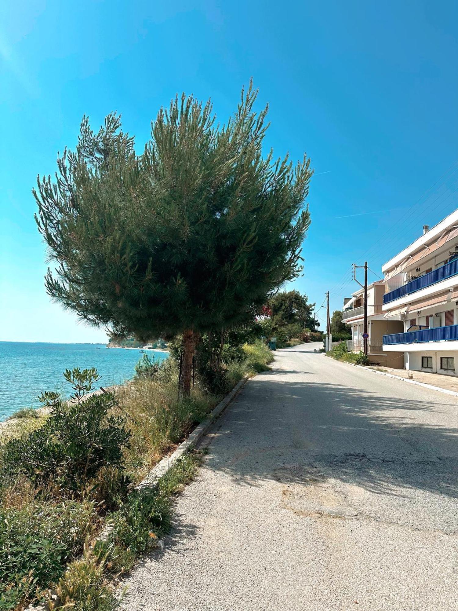 Diara Apartment نيا إيراكليا المظهر الخارجي الصورة